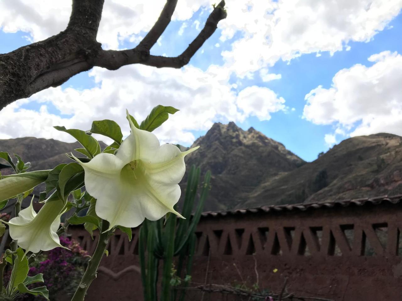 Pisac Inca Guest House エクステリア 写真